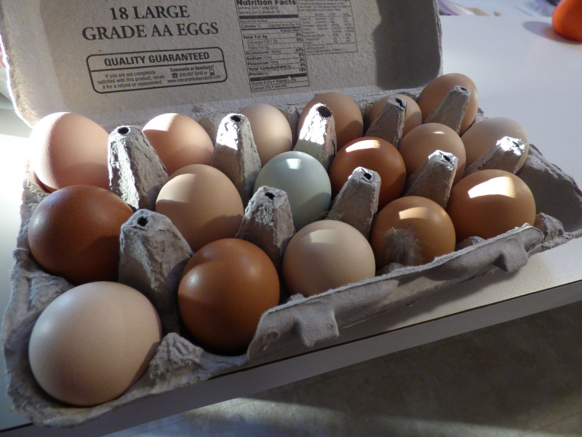 Readers show their chickens